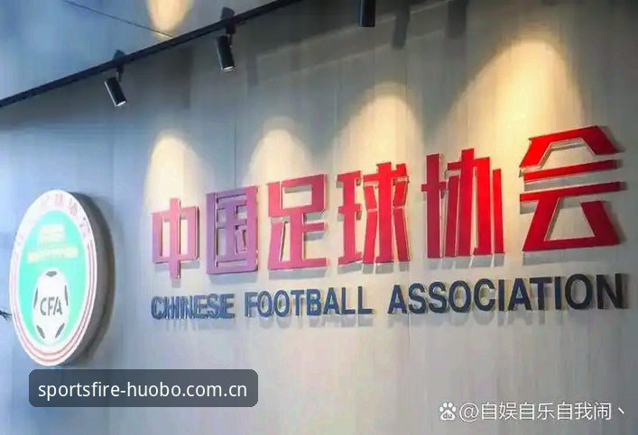 资深用户分享：足协第三批禁足名单深度解读，火博体育平台数据追踪全记录